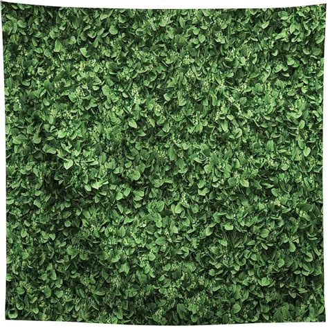 Allenjoy 8x8ft Fabric Green Leaves Backdrop(Not Artificial Grass) for Photo Studio Photography Still Life Grass Leaf Floordrop Picture Background Summer Party Decor Outdoorsy Theme Shoot Props Drop